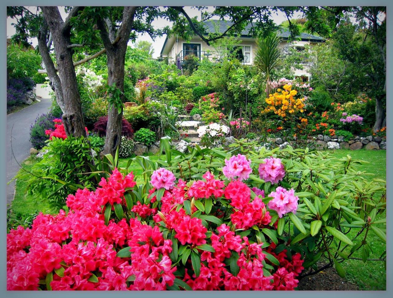 Mcauley Glen Boutique B&B Portobello Kültér fotó