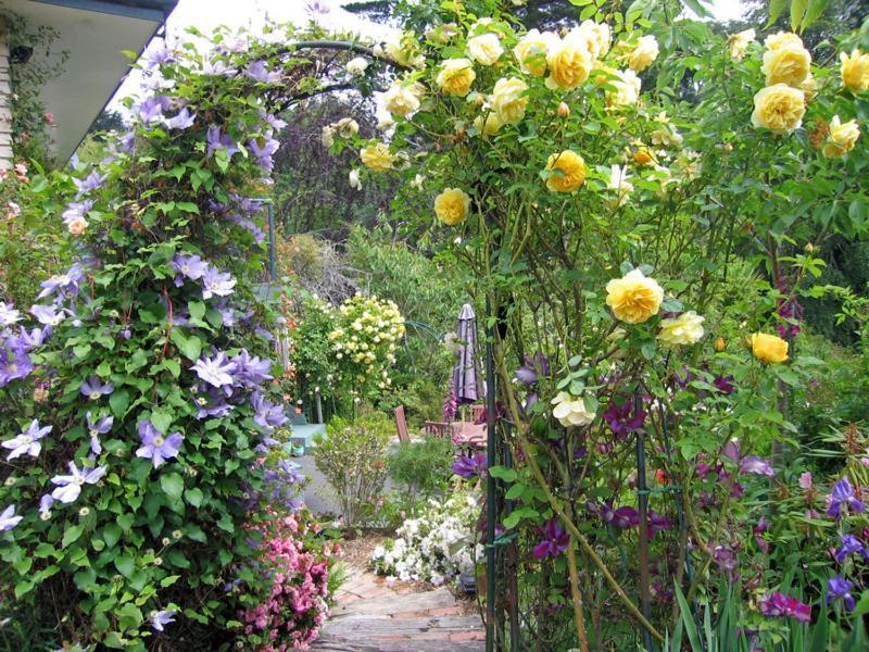 Mcauley Glen Boutique B&B Portobello Kültér fotó